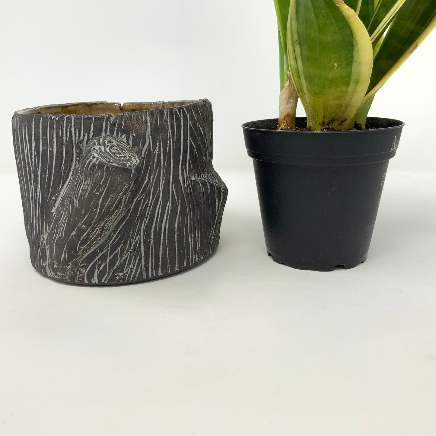 Faux Bois cachepot — espresso w/ gray, medium